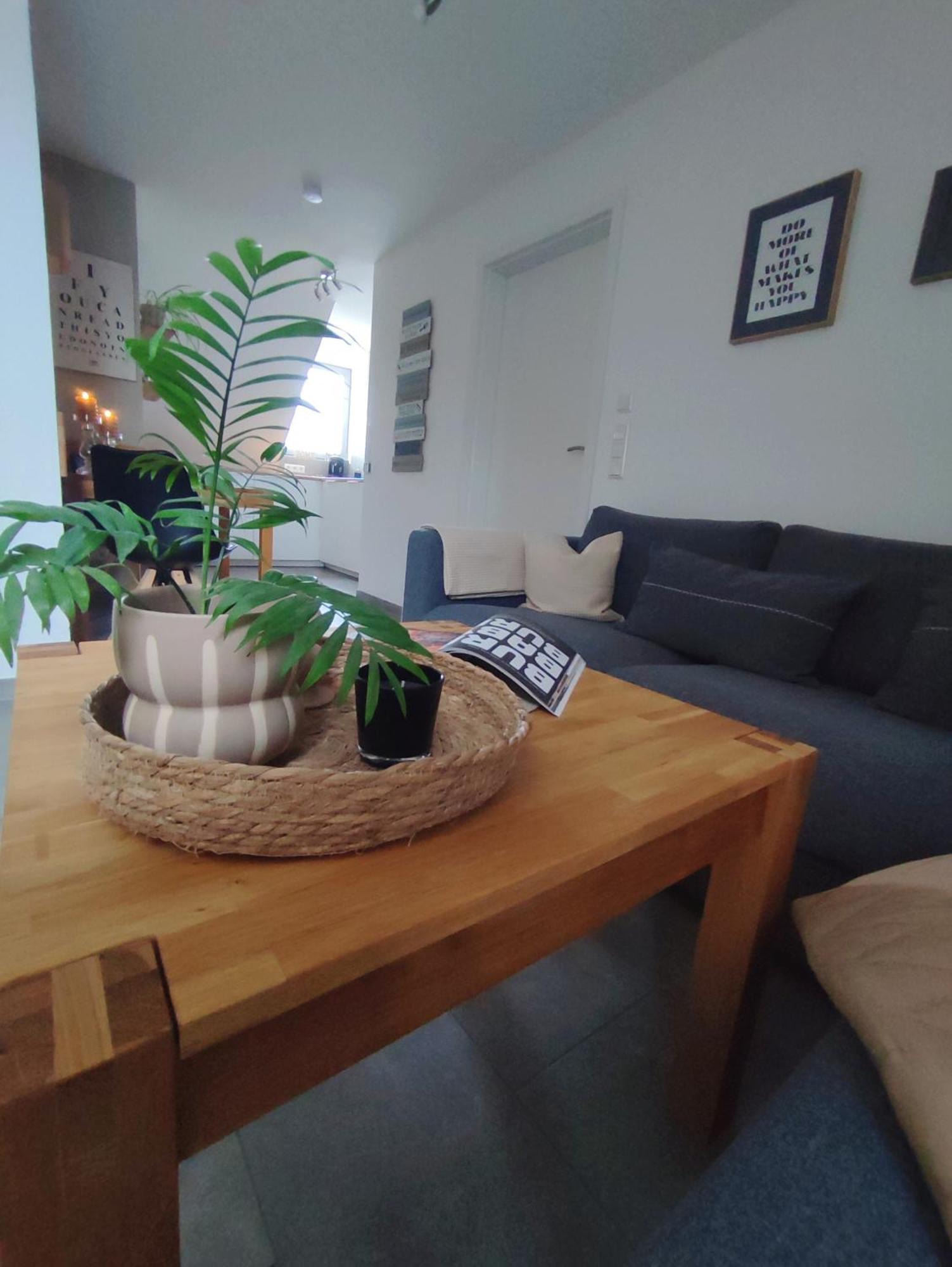 Scheib Apartment